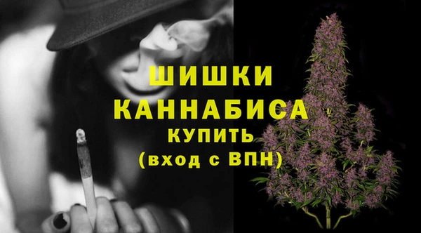 прущие грибы Баксан