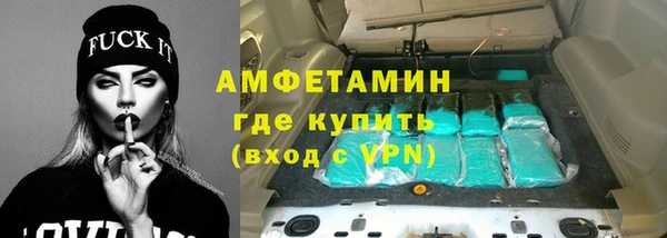 прущие грибы Баксан