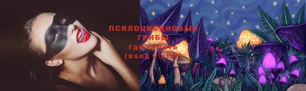 прущие грибы Баксан
