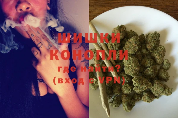 прущие грибы Баксан