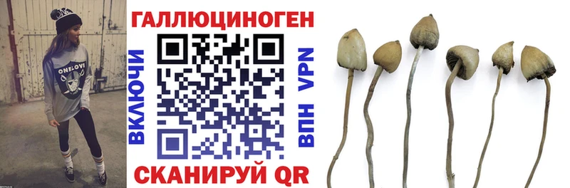 mega маркетплейс  Котельниково  Псилоцибиновые грибы мицелий 